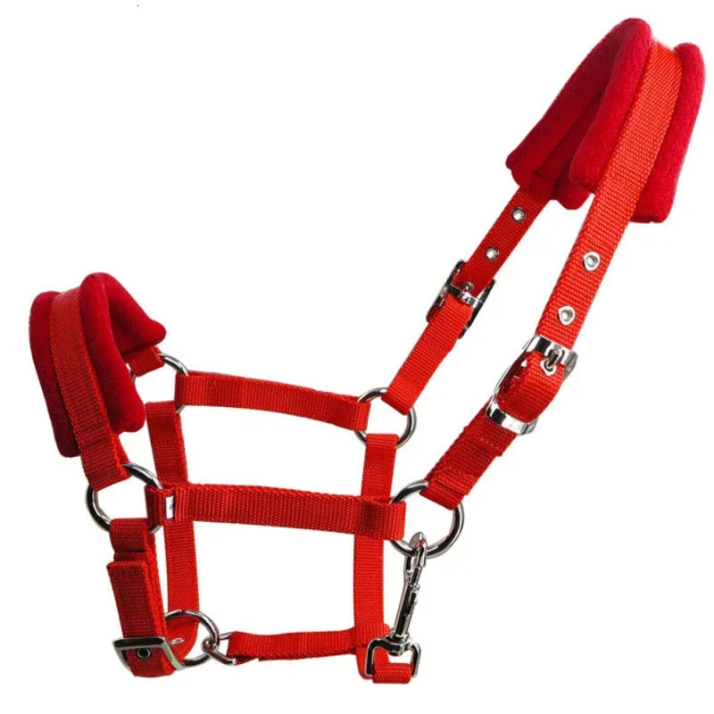 Horse Halter