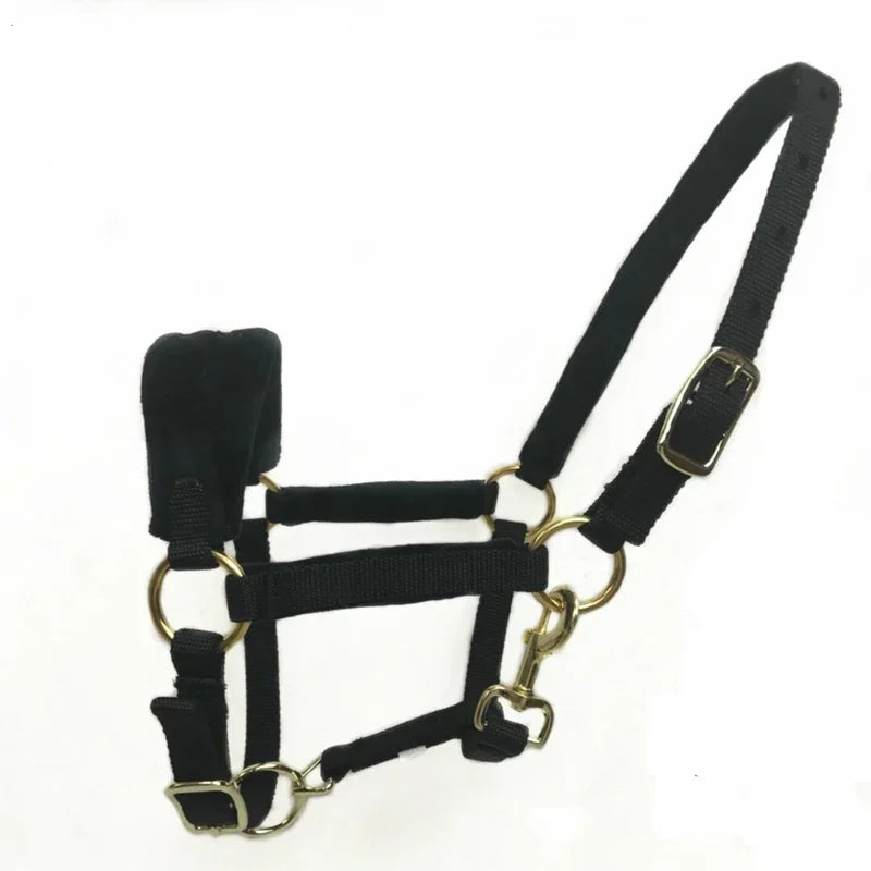 Horse Halter